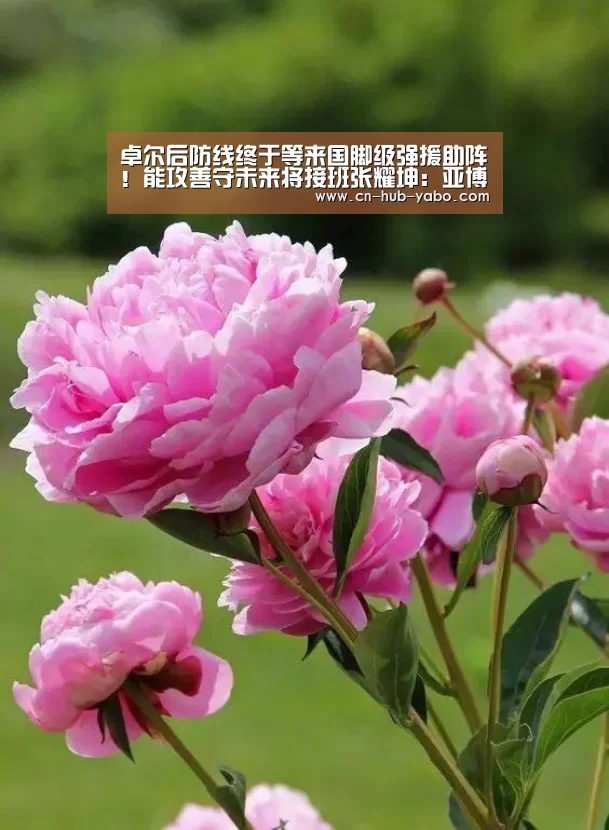 卓尔后防线终于等来国脚级强援助阵!能攻善守未来将接班张耀坤:亚博官网(图1) 亚博体育