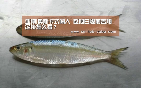 亚博|奥斯卡式闷人 赵旭日爆射吉翔 足协怎么看?(图2) 亚博体育