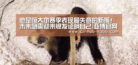 他是恒大本赛季表现最失意的新援!未来急需迎来爆发证明自己|亚博官网(图2) 亚博